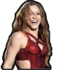 Super Bowl 2020, Shakira y Jlo 24