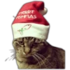 Especial Navidad 21