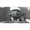 Tmr como la extraño.
