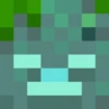 Minecraft 25