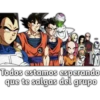 Dragón Ball 24