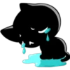 Black cat 28