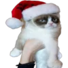 Especial Navidad 28