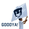 Pumas 17