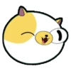Cake The Cat (Adventure Time) 18