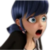 Marinette-Ladybug 30