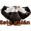 Angry birds 6