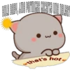 Mochis Cat Expressions 6