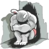 h
