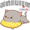 Mochis Cat Expressions 8