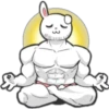 Rabbit Músculoso 9