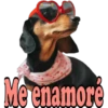 Los Perritos dicen 6