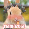 Fmamazota!
ESmeo