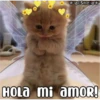 HOLA mi amoR!