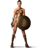 Mujer Maravilla 5