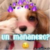 un mananerO?
& ESme o