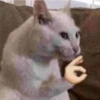 VO