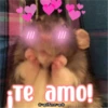 Te amo!
ESmeo