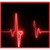 NEON 6