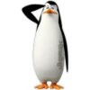 Los pingüinos 5