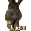 Wuenas