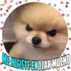 Perritos tiernos 7