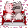 PAREJA DE GATOS 9
