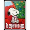 Te espero en casa
vony