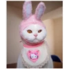 Uwu kittens 3 8