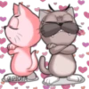 PAREJA DE GATOS 10