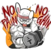 •NOO PAIN At NO GAIN