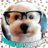 Perritos tiernos 10