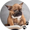 Sweet Dogs 12