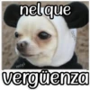 QUE SAD 5