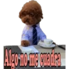Los Perritos dicen 12