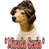 Los Perritos dicen 13