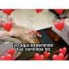 yo aquí esperando
tus cariñitos bb
