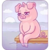 Cerdito Kawaii 🐷💕🇲🇽 12
