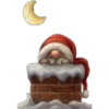 Gnomos Navideños 10