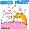 GOOD NIGHT
Z 2 2
NN
Eli&Javi(JD)
oo
~~