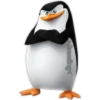 Los pingüinos 7