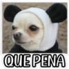 QUE SAD 6