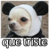 QUE SAD 7