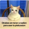 Otrabes sin tener a nadien
para aser la platicasion