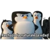 Los pingüinos 9