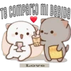 Mochis Cat Expressions 11