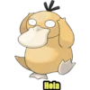 Hola