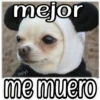 QUE SAD 8