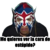 peluche en el estuche y más 12