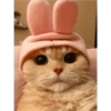 Uwu kittens 3 13
